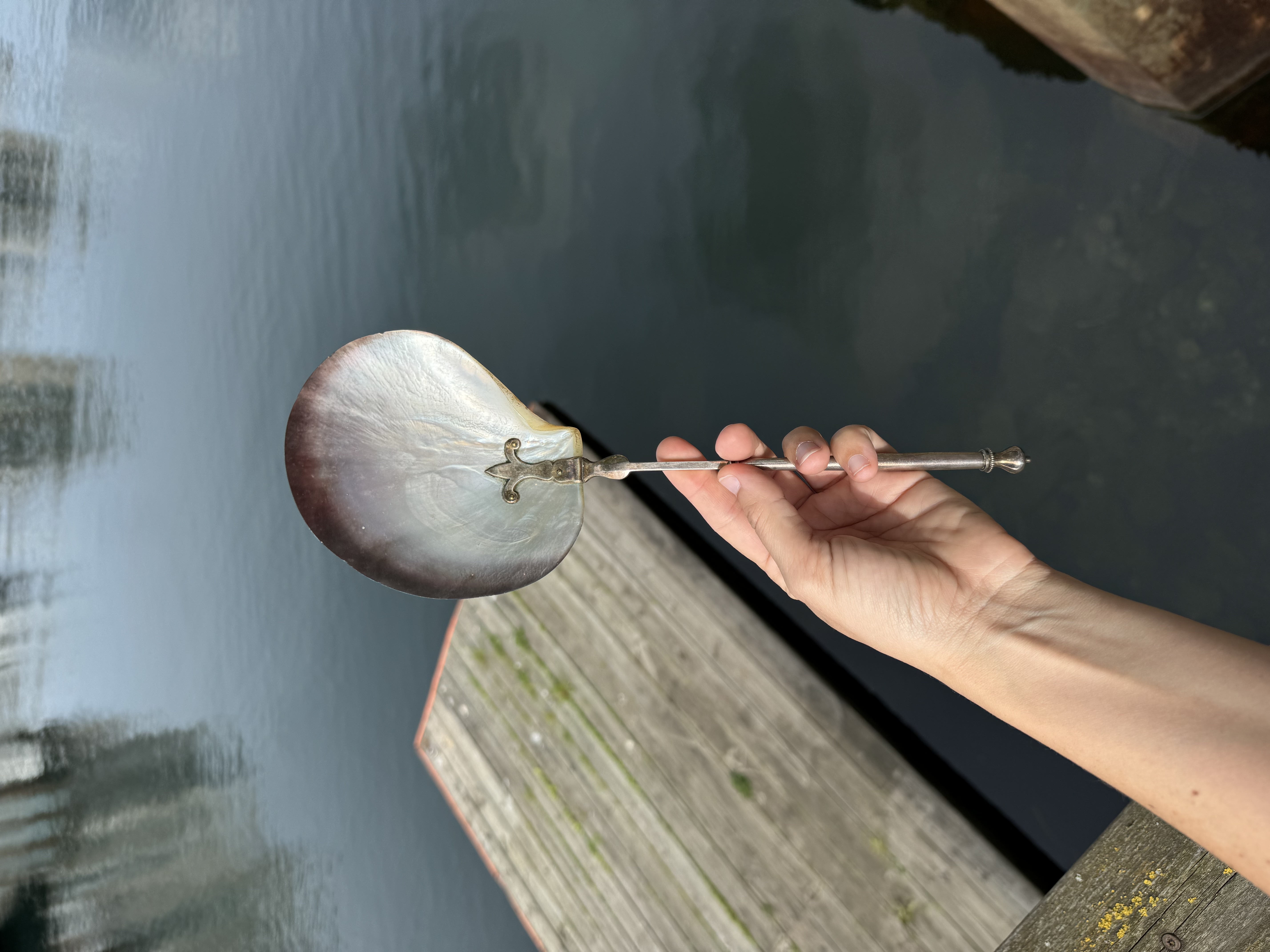 Mother of Pearl Serving Spoon with Unusual Silver-Plated Handle