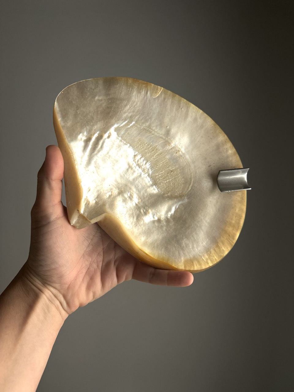 Mother-of-pearl shell with a metal insert