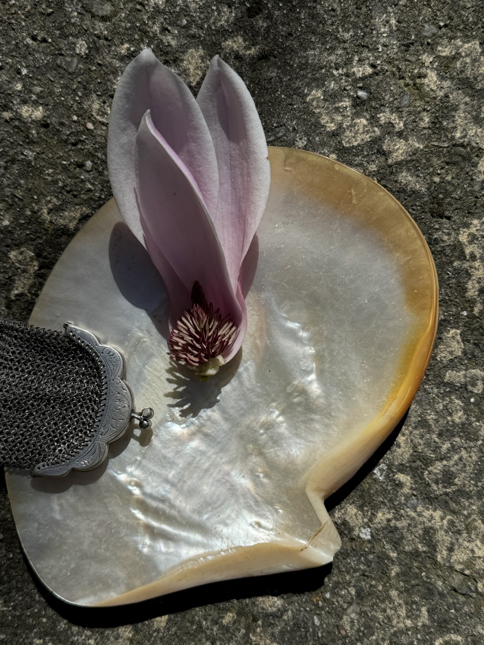 Mother-of-pearl shell with a metal insert