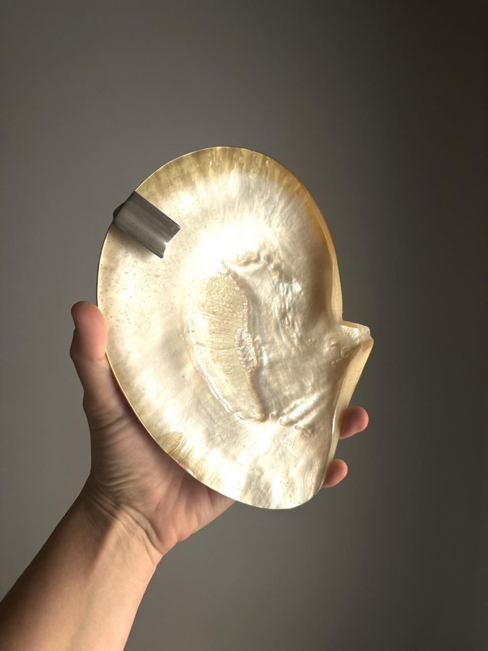 Mother-of-pearl shell with a metal insert