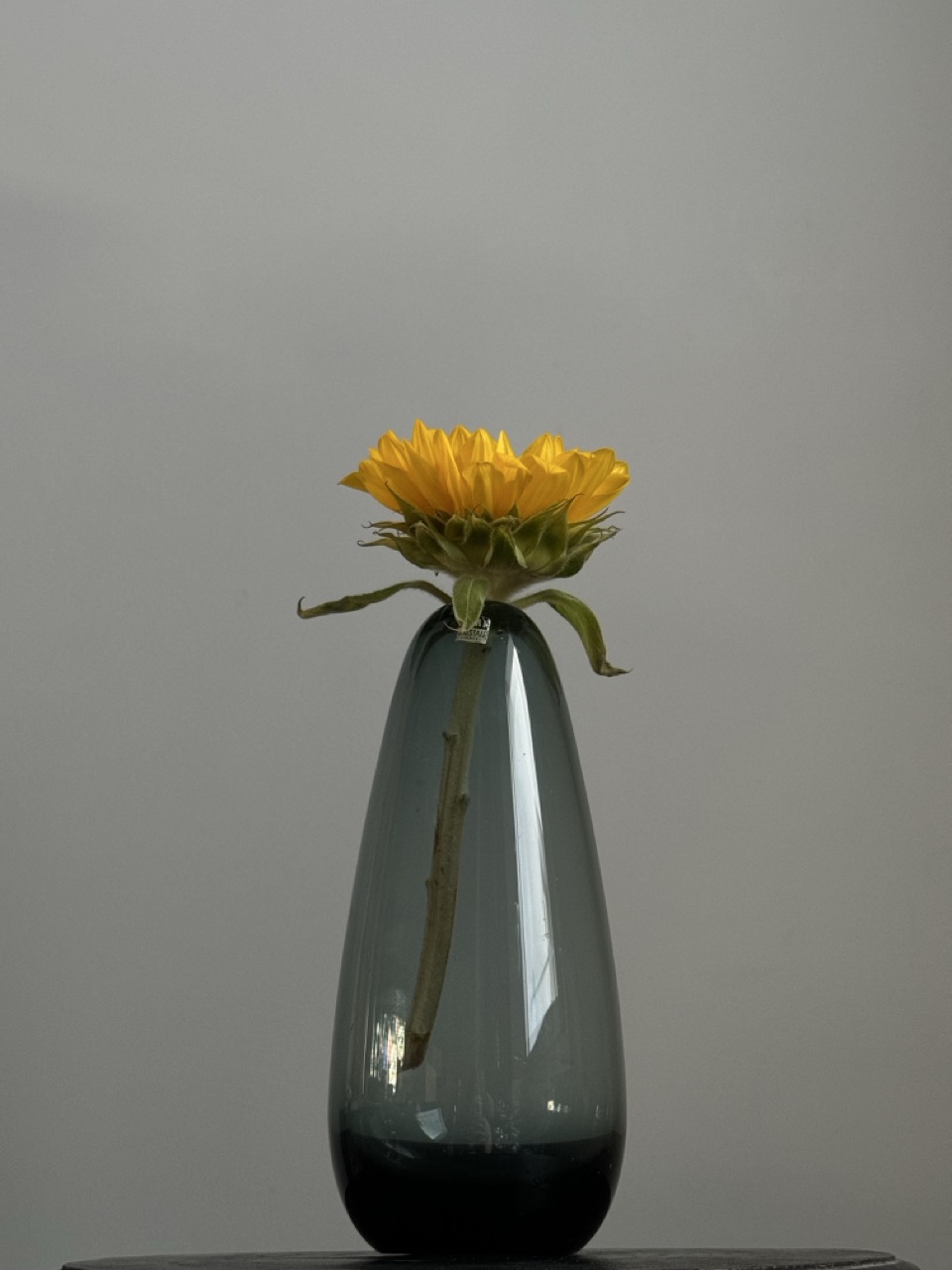 Vase by WMF / Germany/Designer -Wilhelm Wagenfeld
