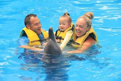 Swim with Dolphins – A Magical Ocean Adventure  *Excursion Only*