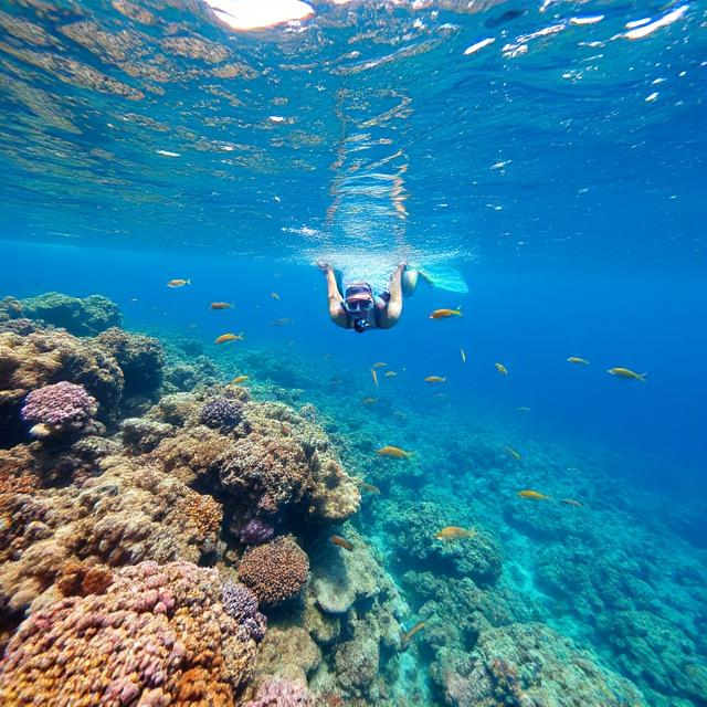 Roatán Barrier Reef Snorkeling: Dive Into an Underwater Wonderland!