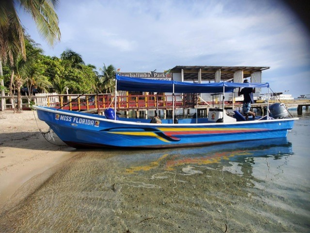 Roatán Barrier Reef Snorkeling: Dive Into an Underwater Wonderland!