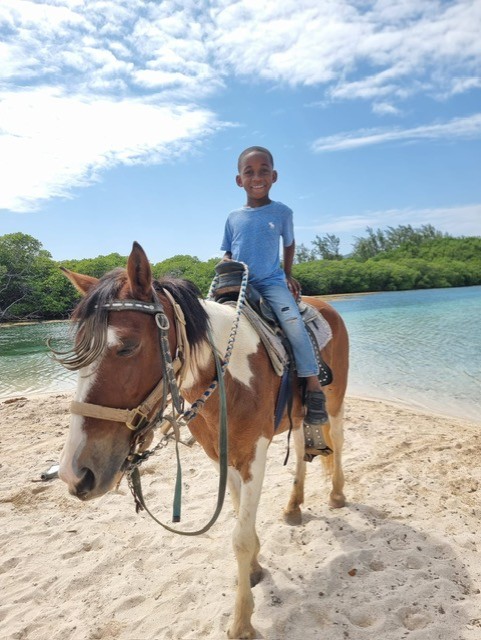 Roatán Horseback Adventure: Ride Through Paradise!  