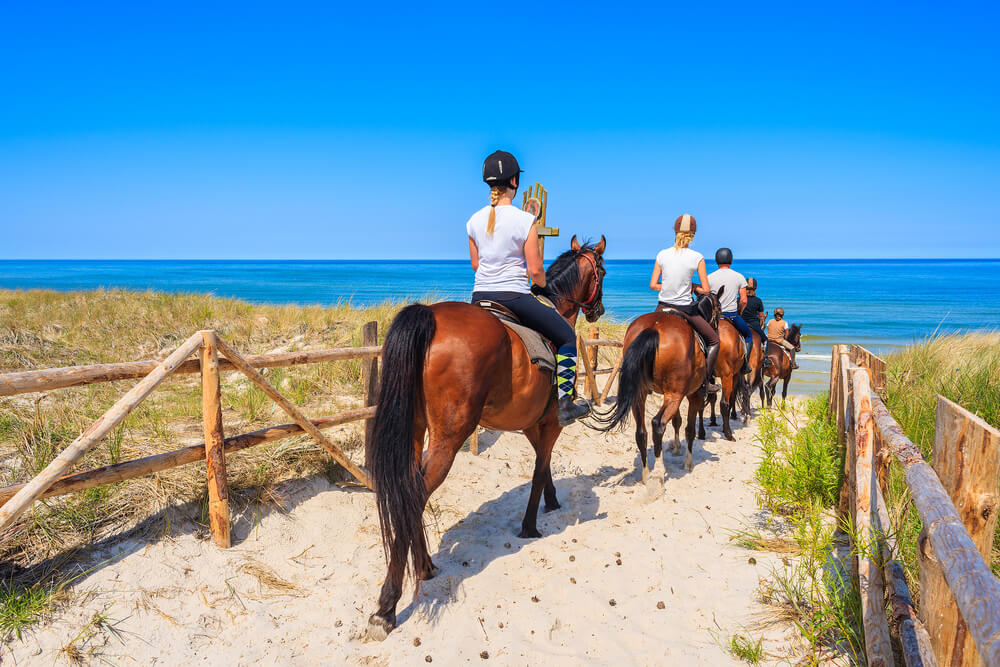 Roatán Horseback Adventure: Ride Through Paradise!  