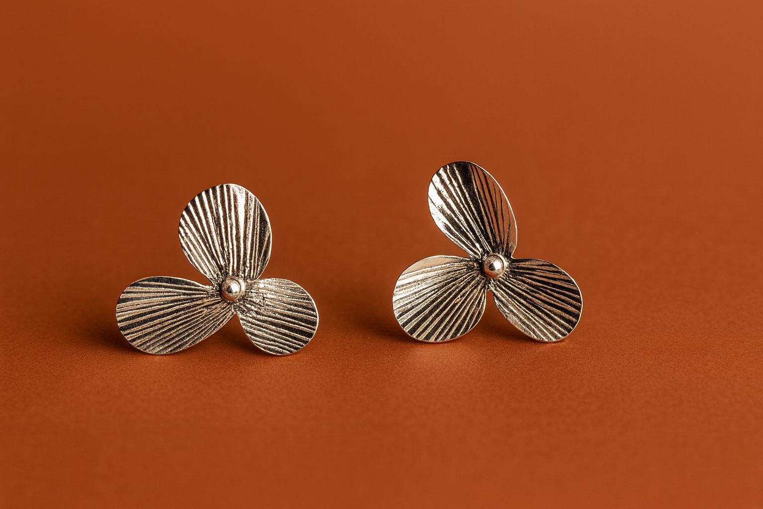 Boucles d'oreille en argent