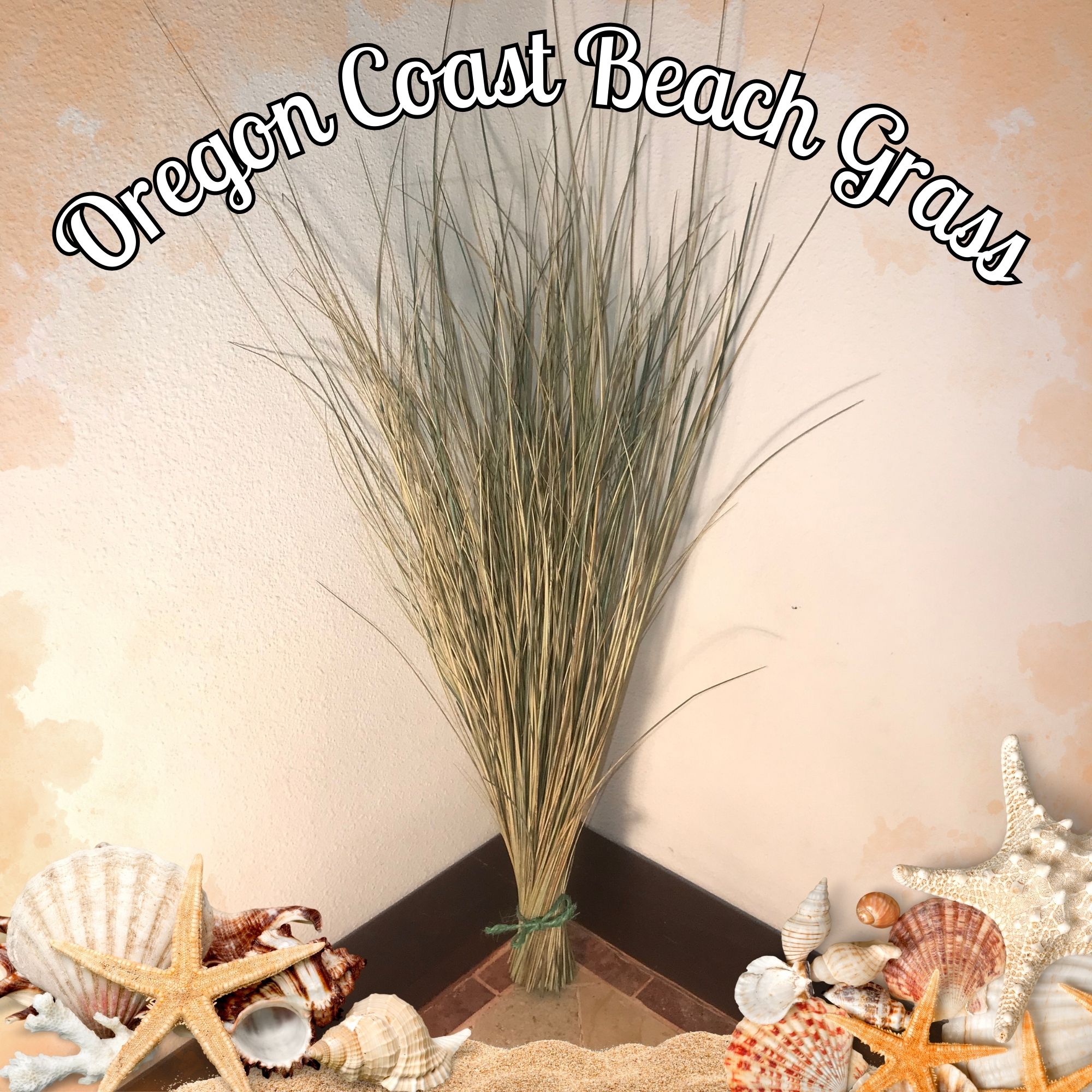 Oregon Coast Beach Grass