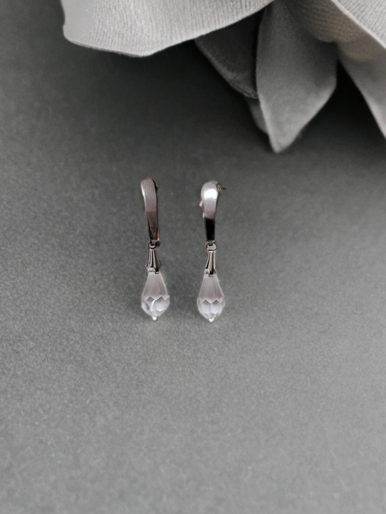 Elegant Silver Earrings