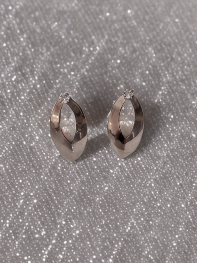 Elegant Silver Earrings
