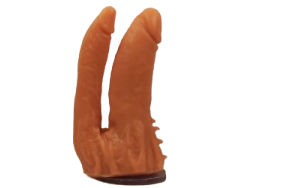 MACIZO DOBLE PENETRACIÓN