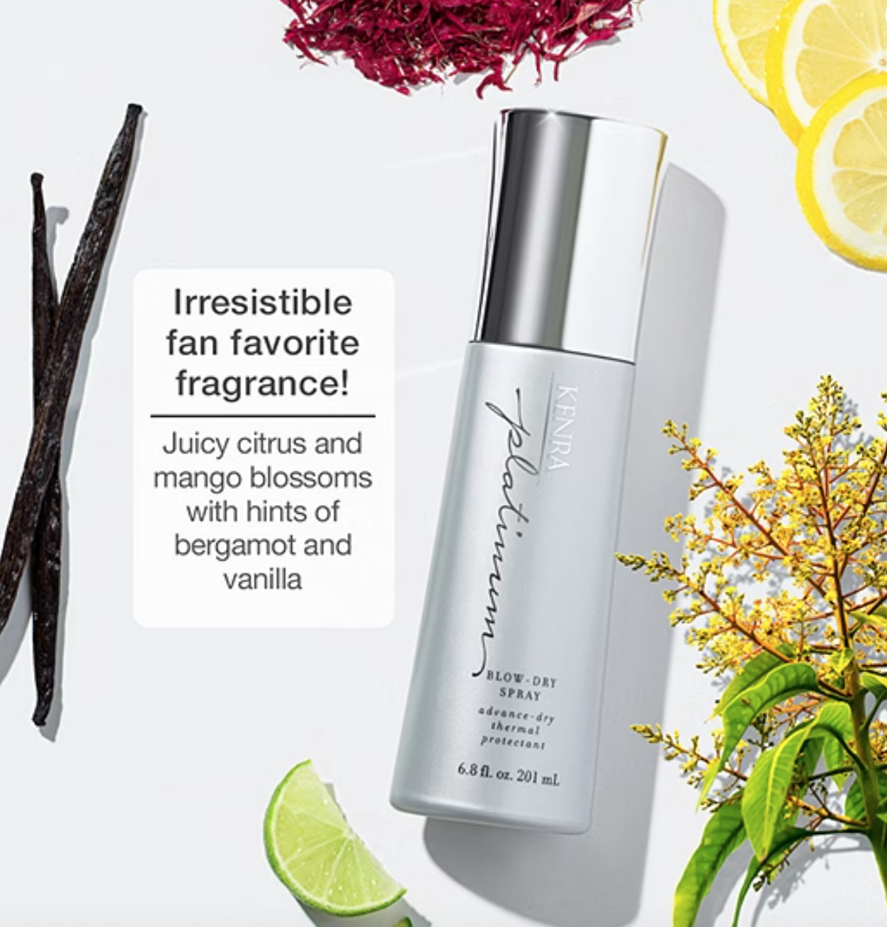 Kenra Blow Dry Spray (medium)