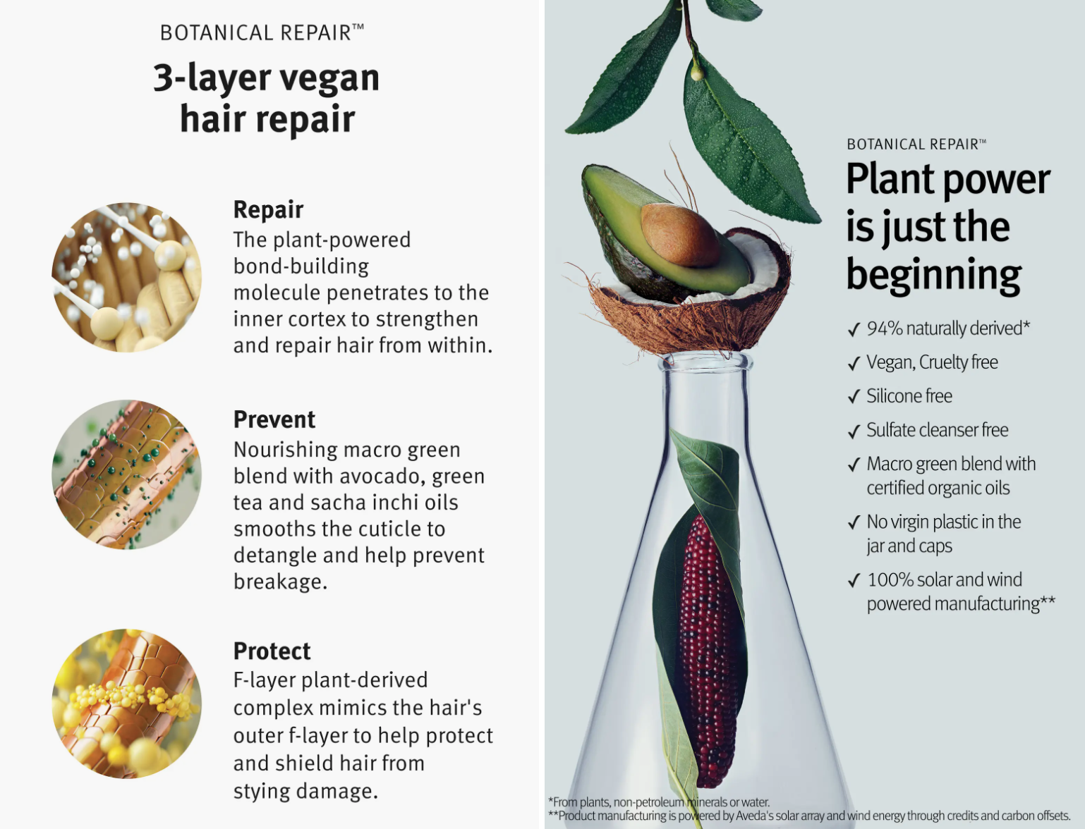 Aveda Botanical Repair Strengthening Shampoo