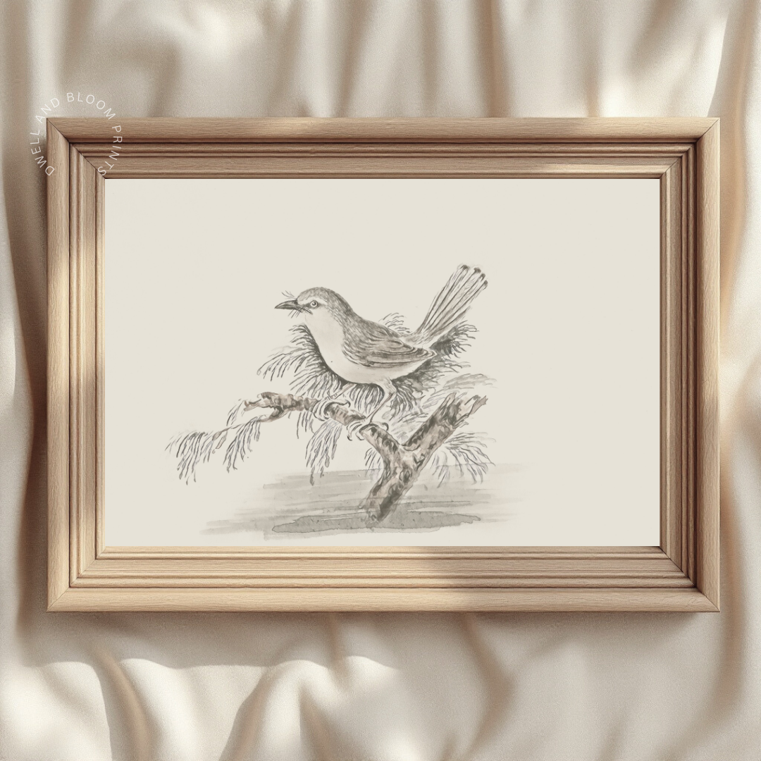 Vintage Bird Art Print | Antique Bird Sketch Art