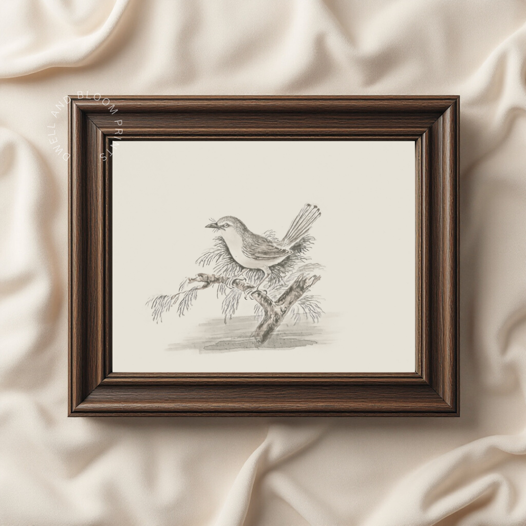Vintage Bird Art Print | Antique Bird Sketch Art