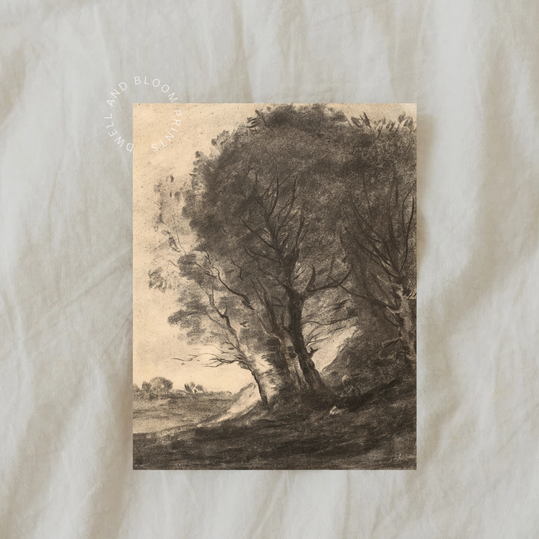 Moody Tree Charcoal Drawing Print | Vintage Tree Drawing 