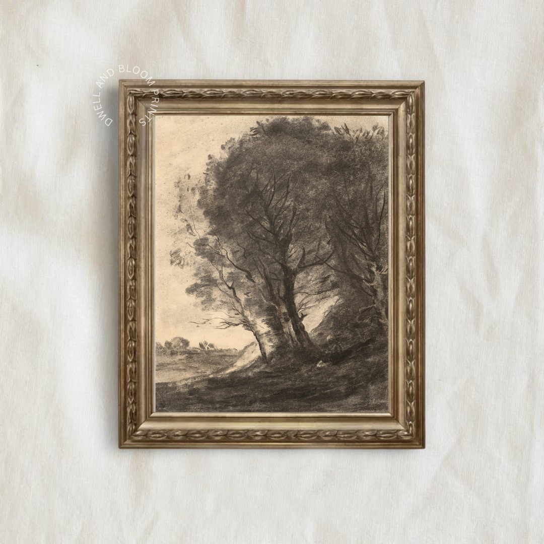 Moody Tree Charcoal Drawing Print | Vintage Tree Drawing 