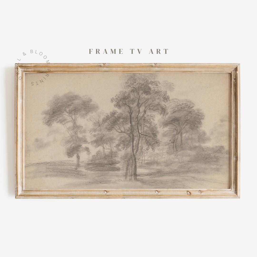 Samsung Frame TV Art | Neutral Tree Sketch Art