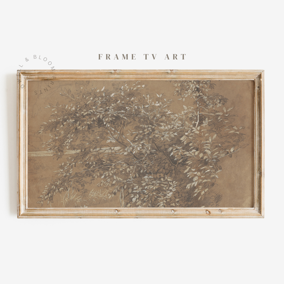 Samsung Frame TV Art | Vintage Floral Sketch Art