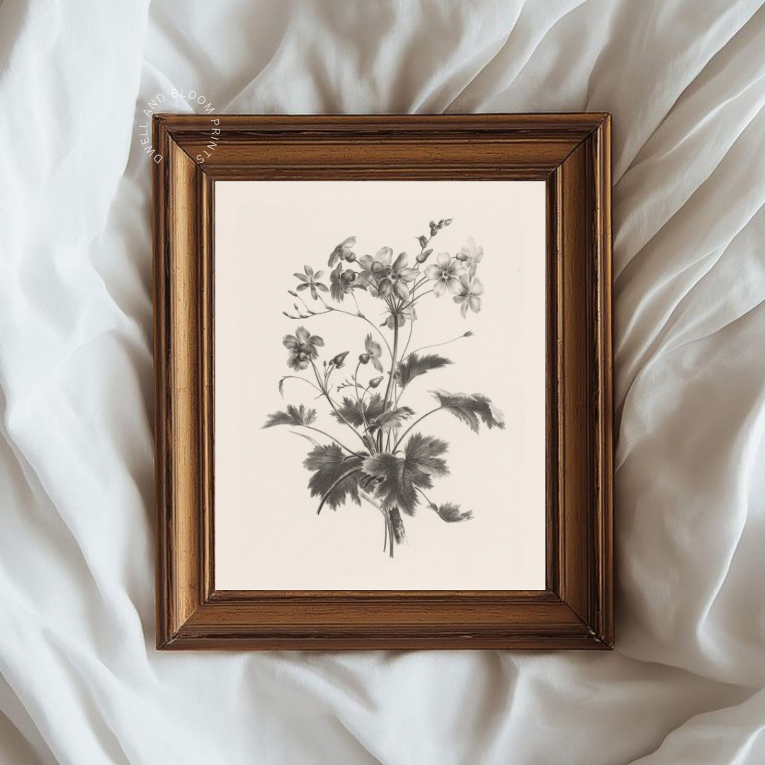 Vintage Floral Sketch Art | Vintage Botanical Art Print