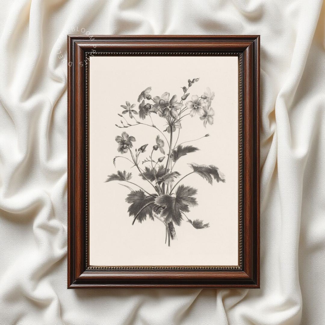Vintage Floral Sketch Art | Vintage Botanical Art Print