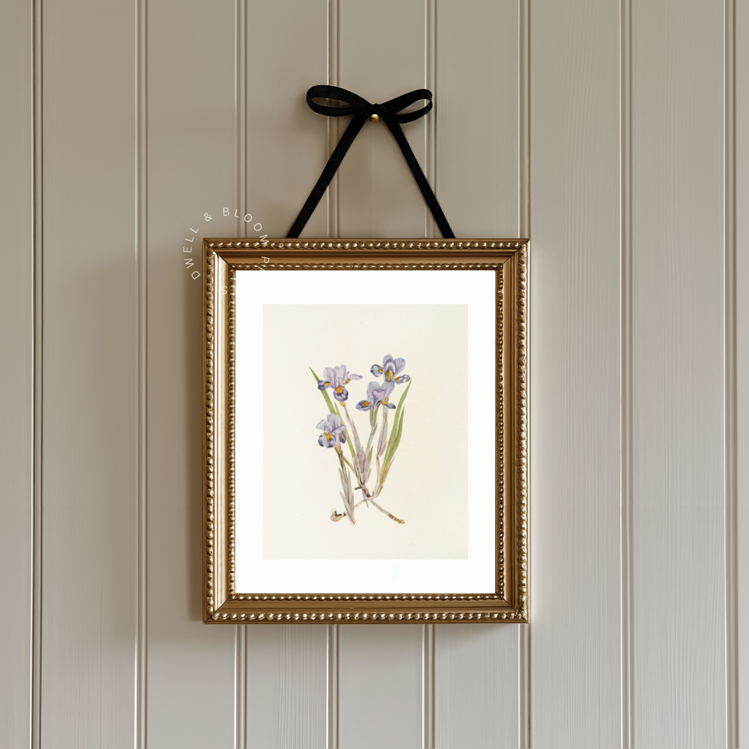 Vintage Floral Art Print | Vintage Botanical Wall Art