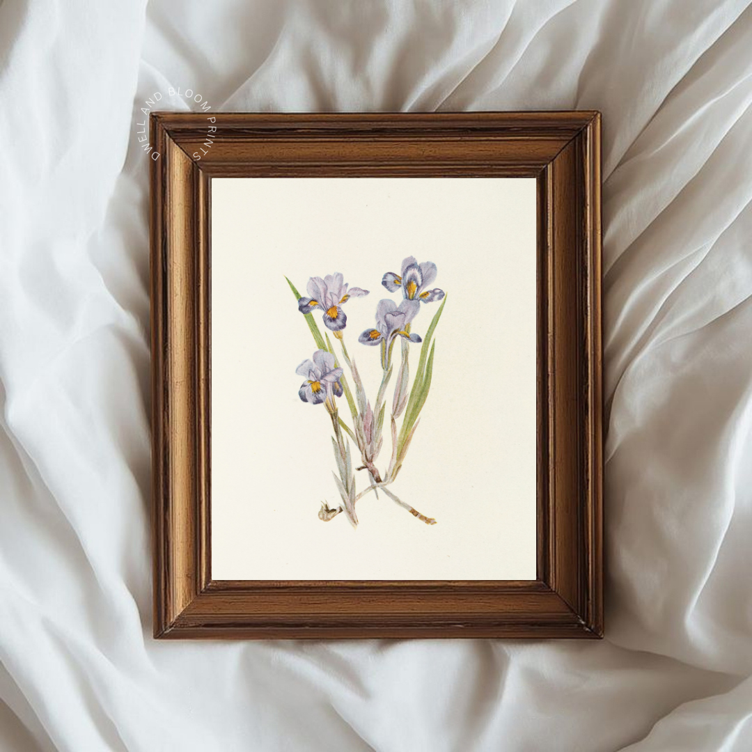 Vintage Floral Art Print | Vintage Botanical Wall Art