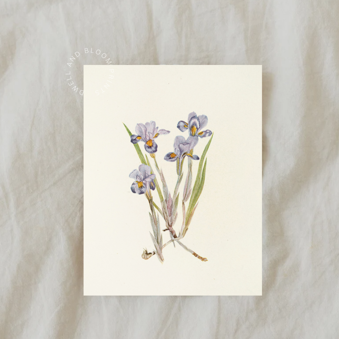 Vintage Floral Art Print | Vintage Botanical Wall Art