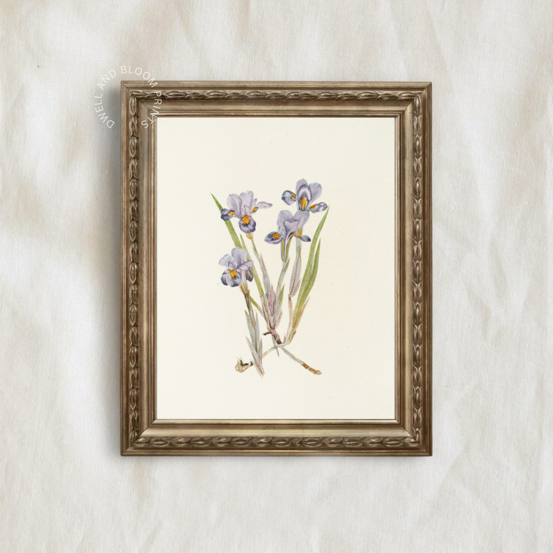 Vintage Floral Art Print | Vintage Botanical Wall Art