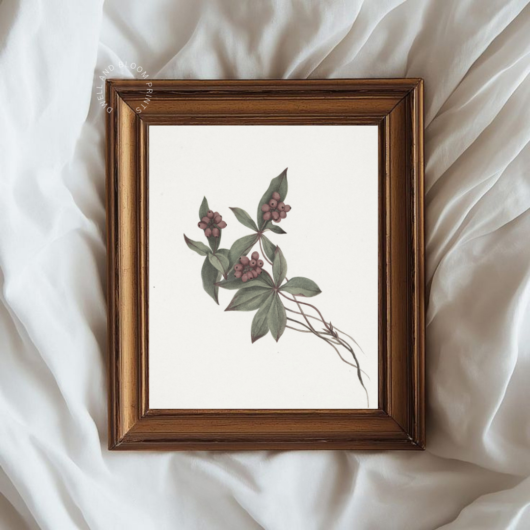 Vintage Botanical Art Print | Antique Botanical Illustration