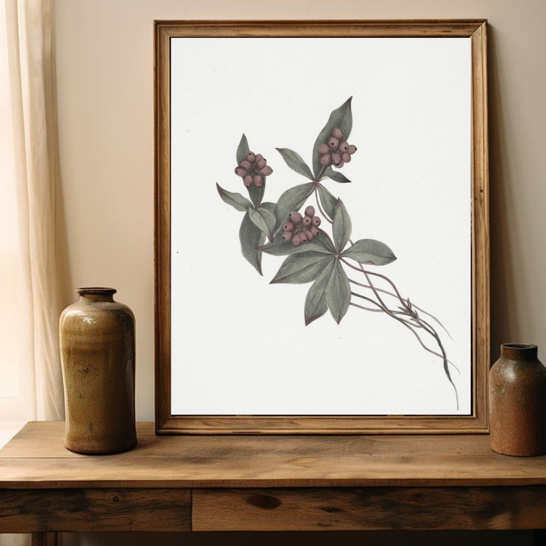 Vintage Botanical Art Print | Antique Botanical Illustration