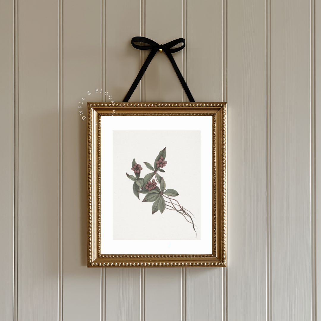 Vintage Botanical Art Print | Antique Botanical Illustration
