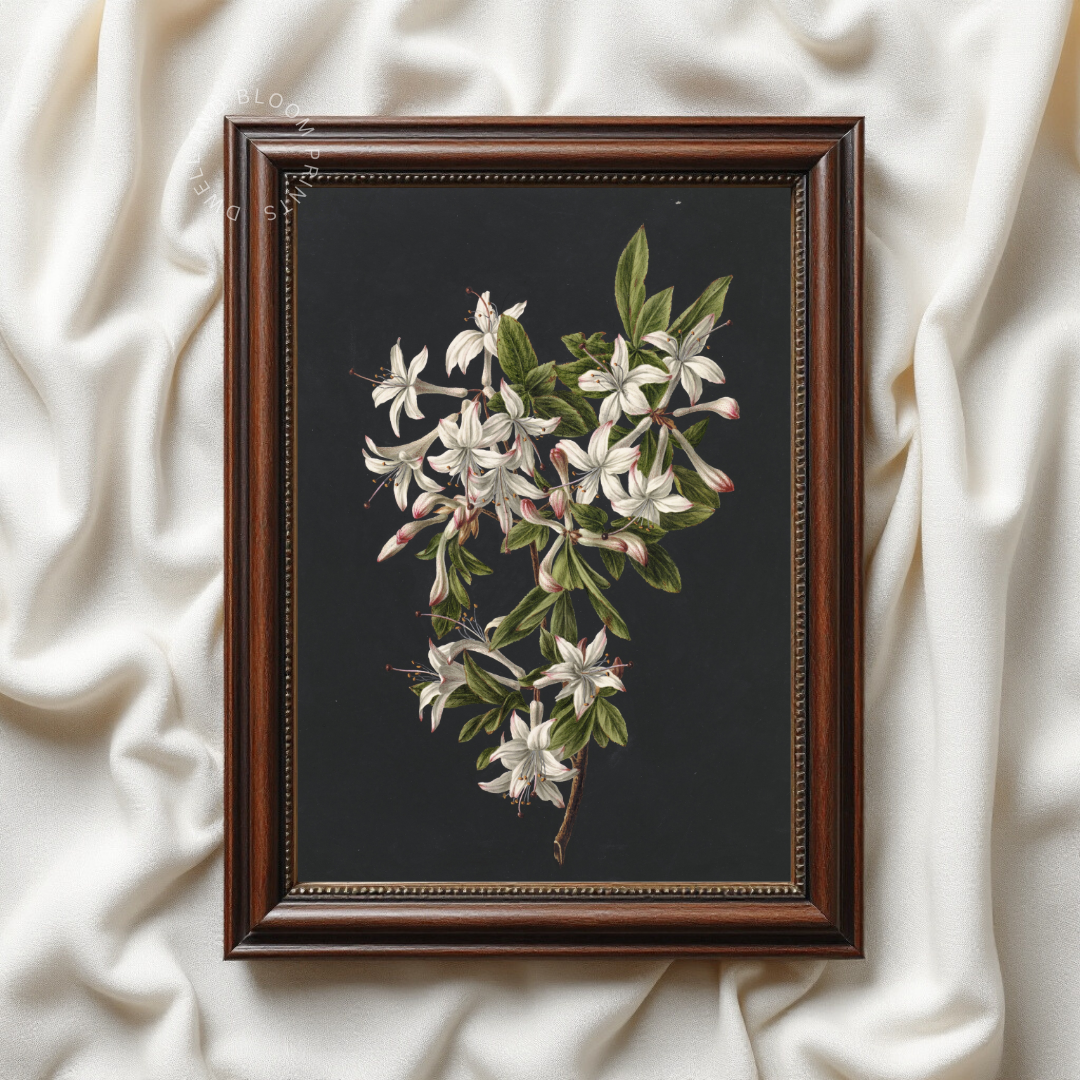 Vintage Moody Botanical Wall Art | Vintage Floral Art Print