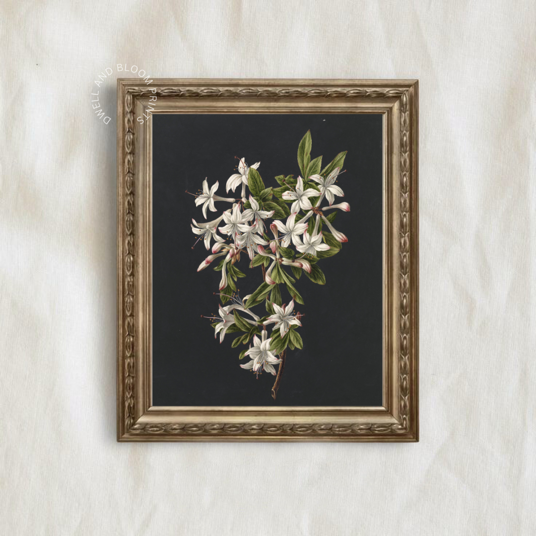 Vintage Moody Botanical Wall Art | Vintage Floral Art Print