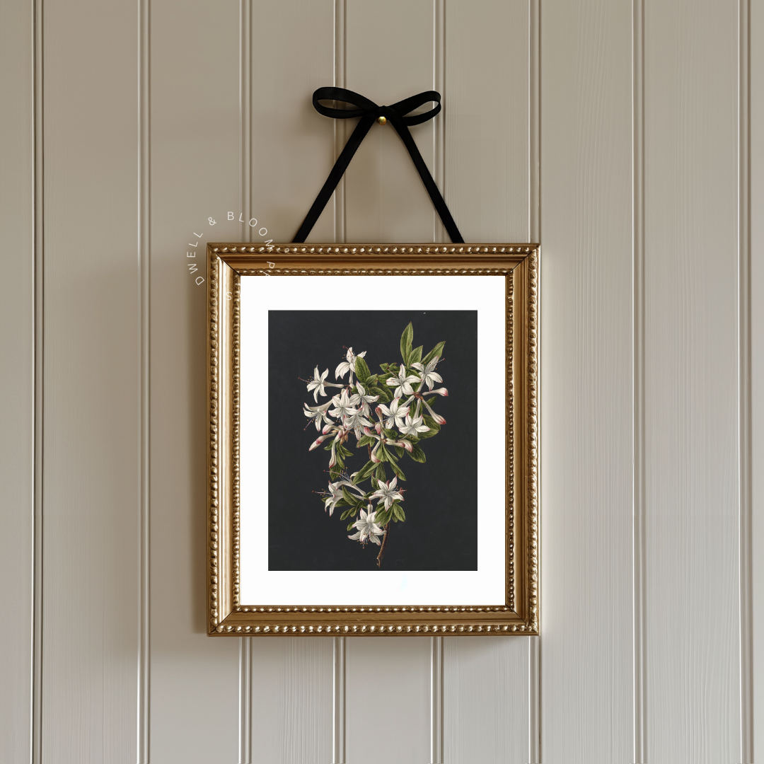 Vintage Moody Botanical Wall Art | Vintage Floral Art Print