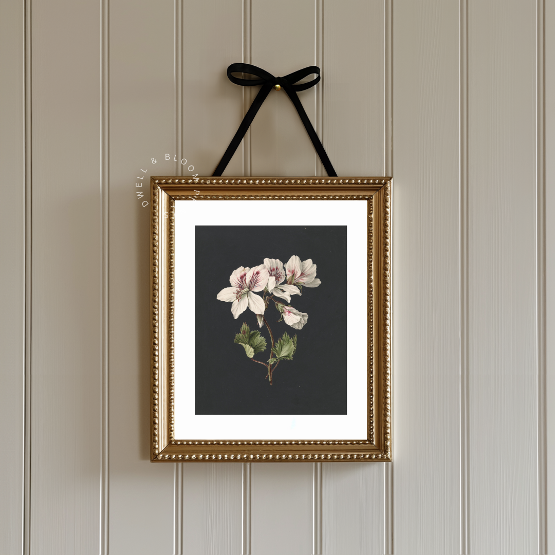 Moody Vintage Botanical Art Print | Antique Botanical Wall Decor