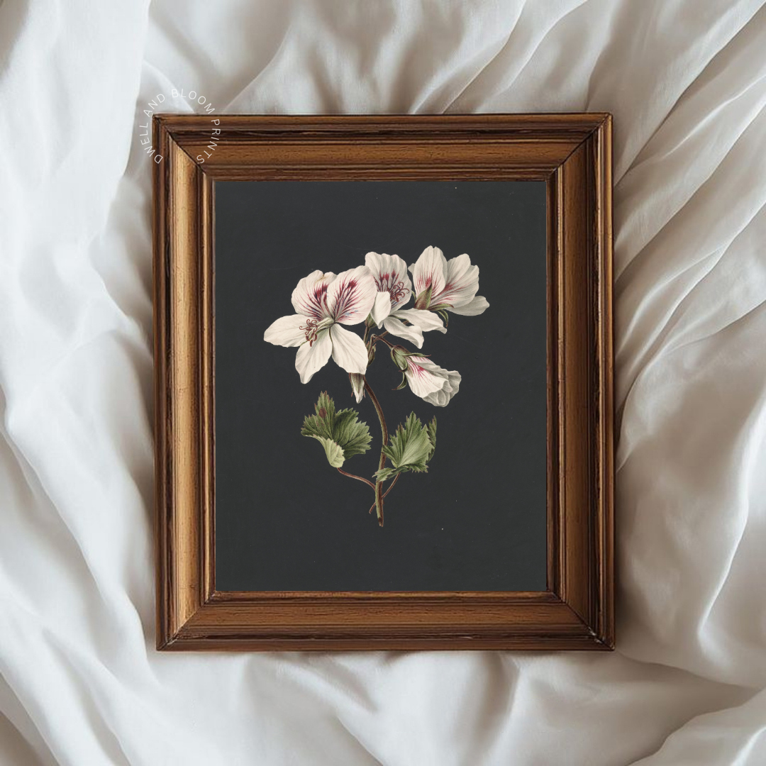 Moody Vintage Botanical Art Print | Antique Botanical Wall Decor