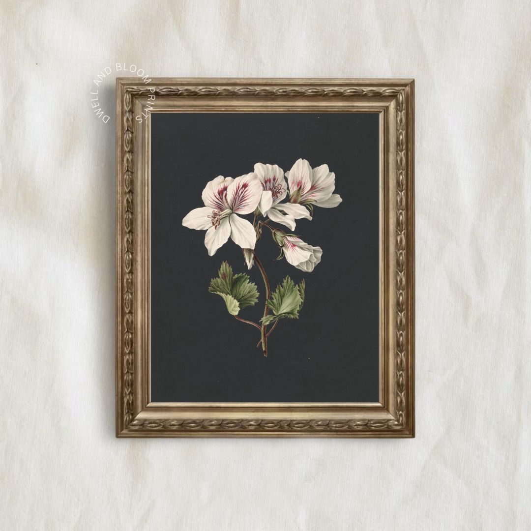 Moody Vintage Botanical Art Print | Antique Botanical Wall Decor