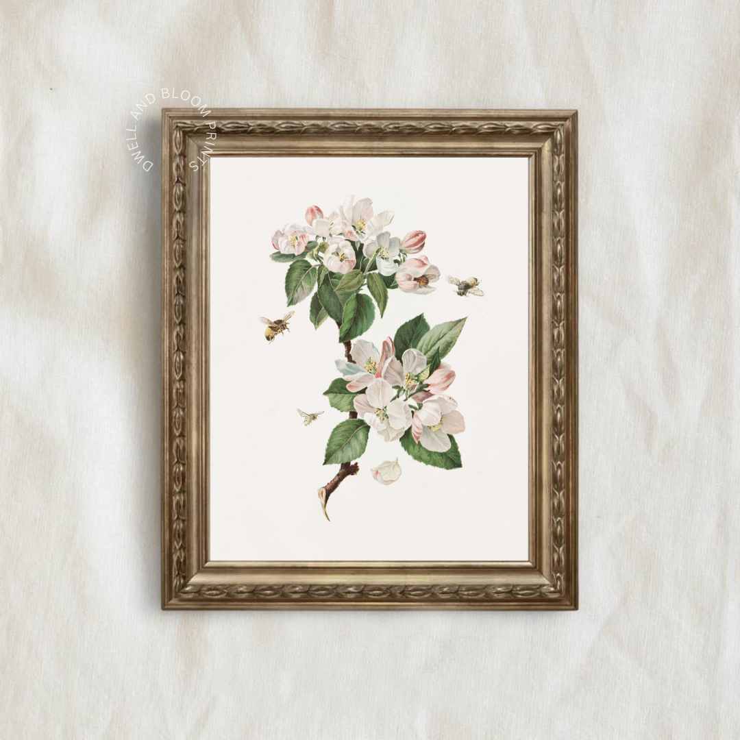 Vintage Botanical Wall Art | Cottagecore Art Print