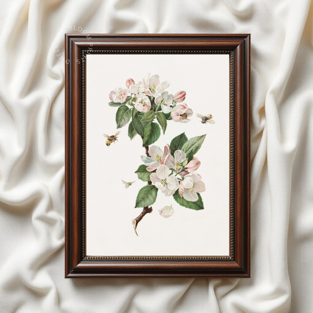 Vintage Botanical Wall Art | Cottagecore Art Print