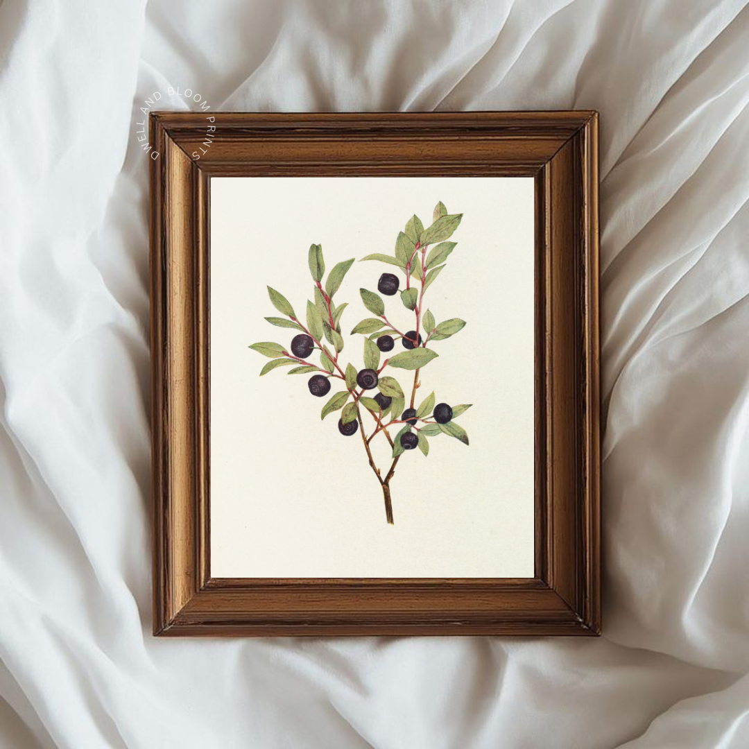 Vintage Botanical Wall Art | Vintage Botanical Wall Decor 