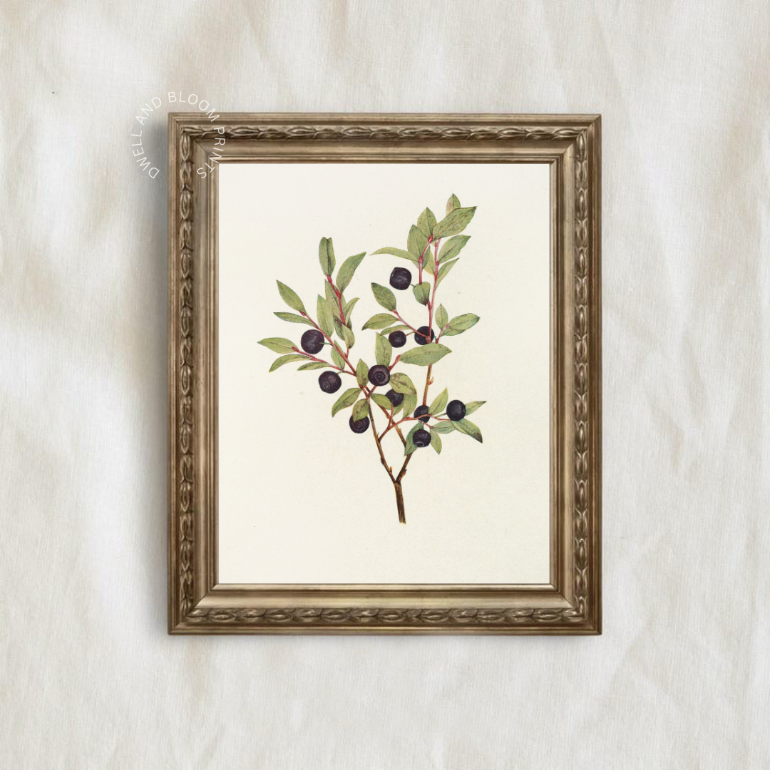 Vintage Botanical Wall Art | Vintage Botanical Wall Decor 