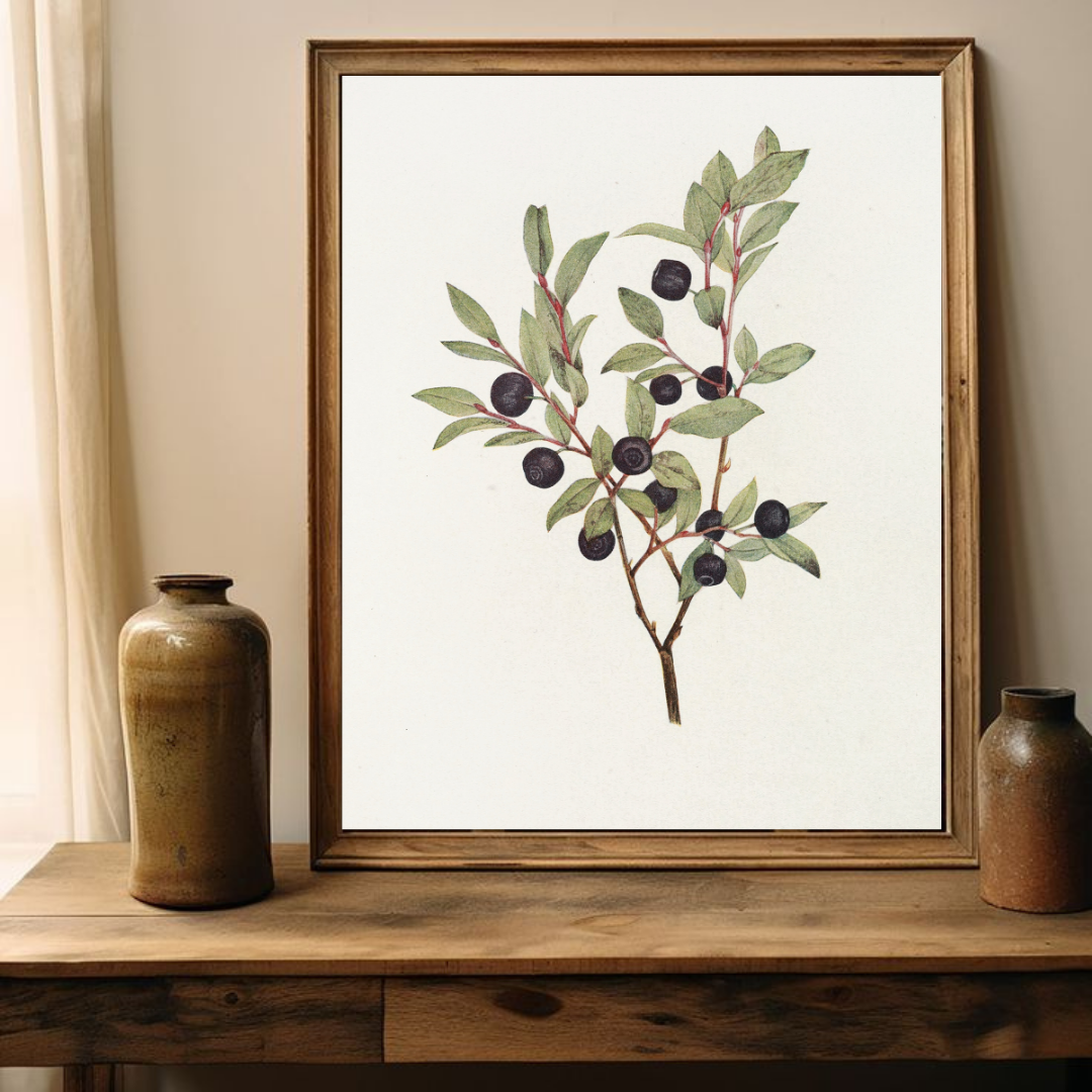 Vintage Botanical Wall Art | Vintage Botanical Wall Decor 