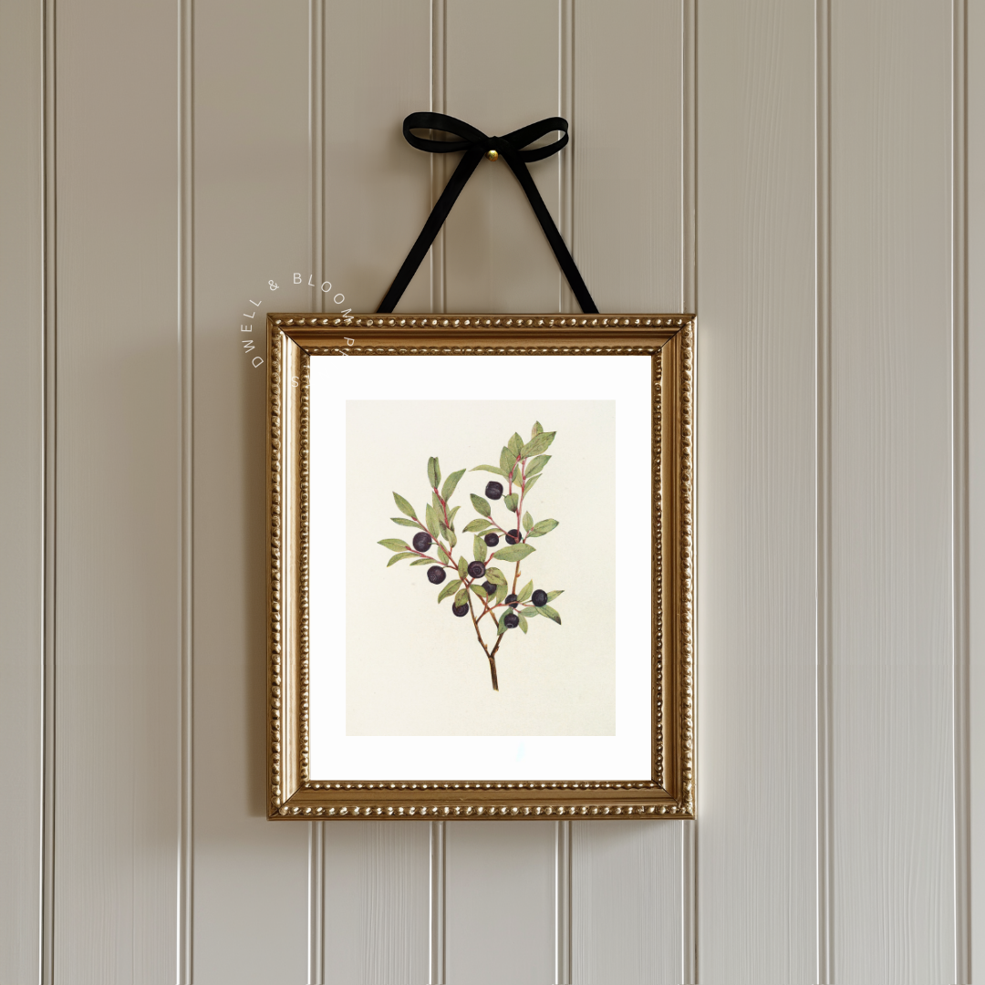 Vintage Botanical Wall Art | Vintage Botanical Wall Decor 