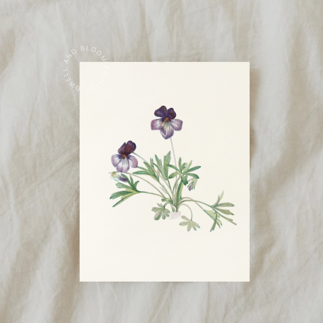 Vintage Floral Print | Vintage Botanical Wall Art