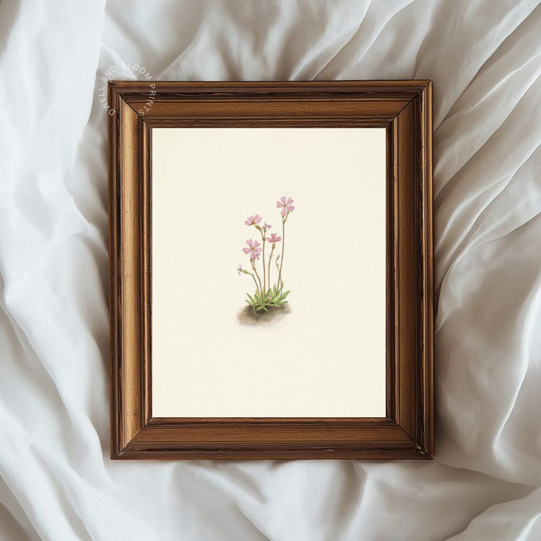 Vintage Floral Art Print | Vintage Botanical Wall Art