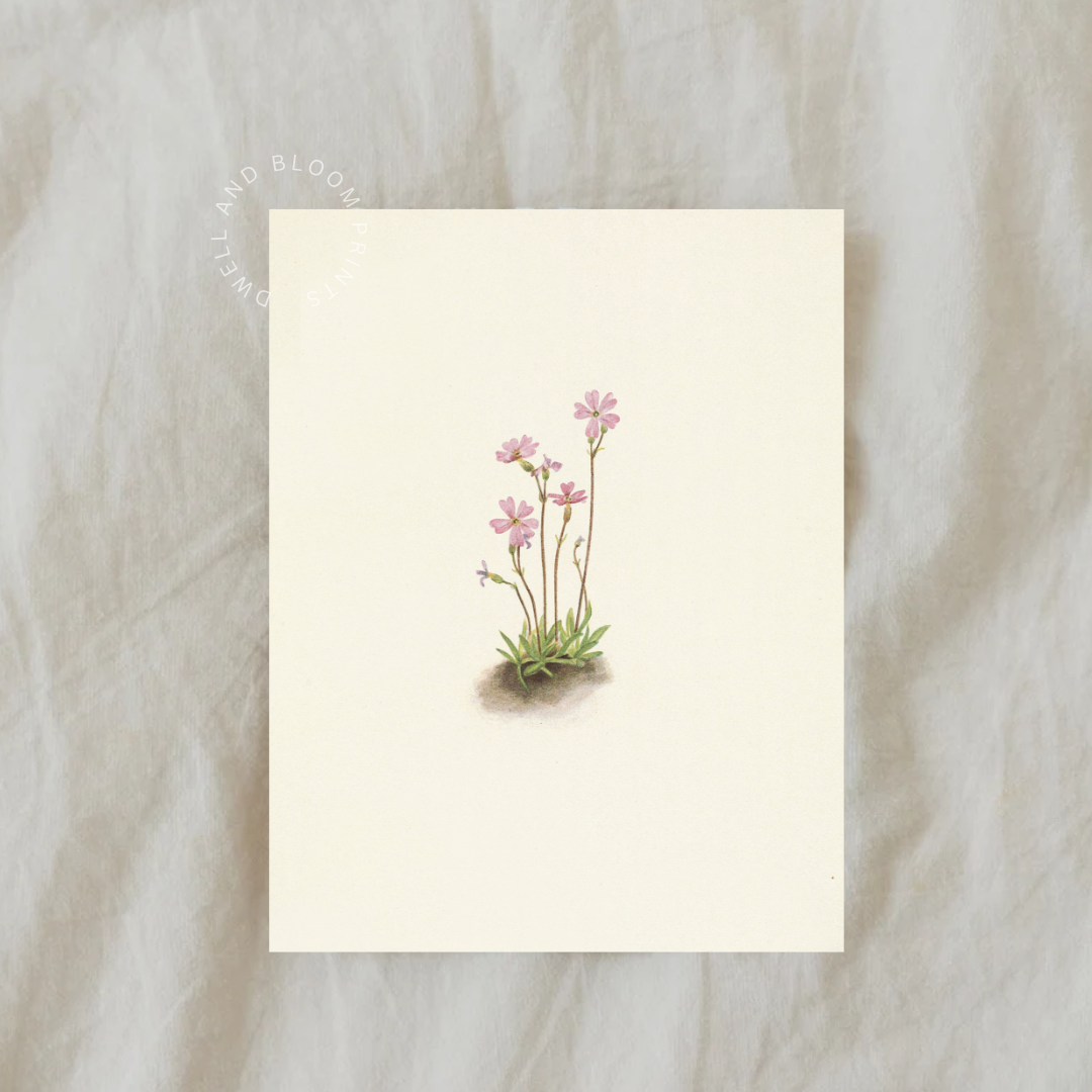 Vintage Floral Art Print | Vintage Botanical Wall Art