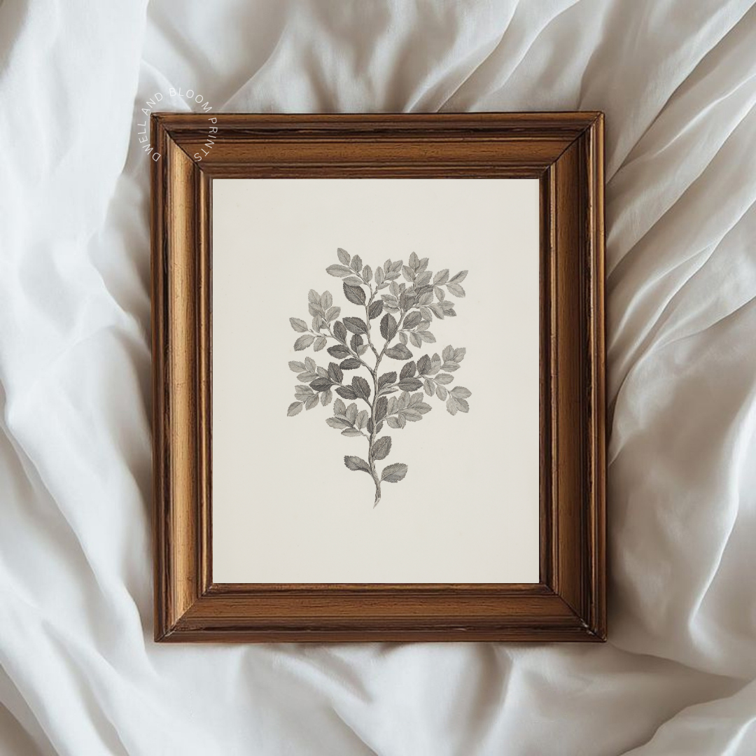 Vintage Neutral Botanical Art Print | Antique Botanical Wall Art