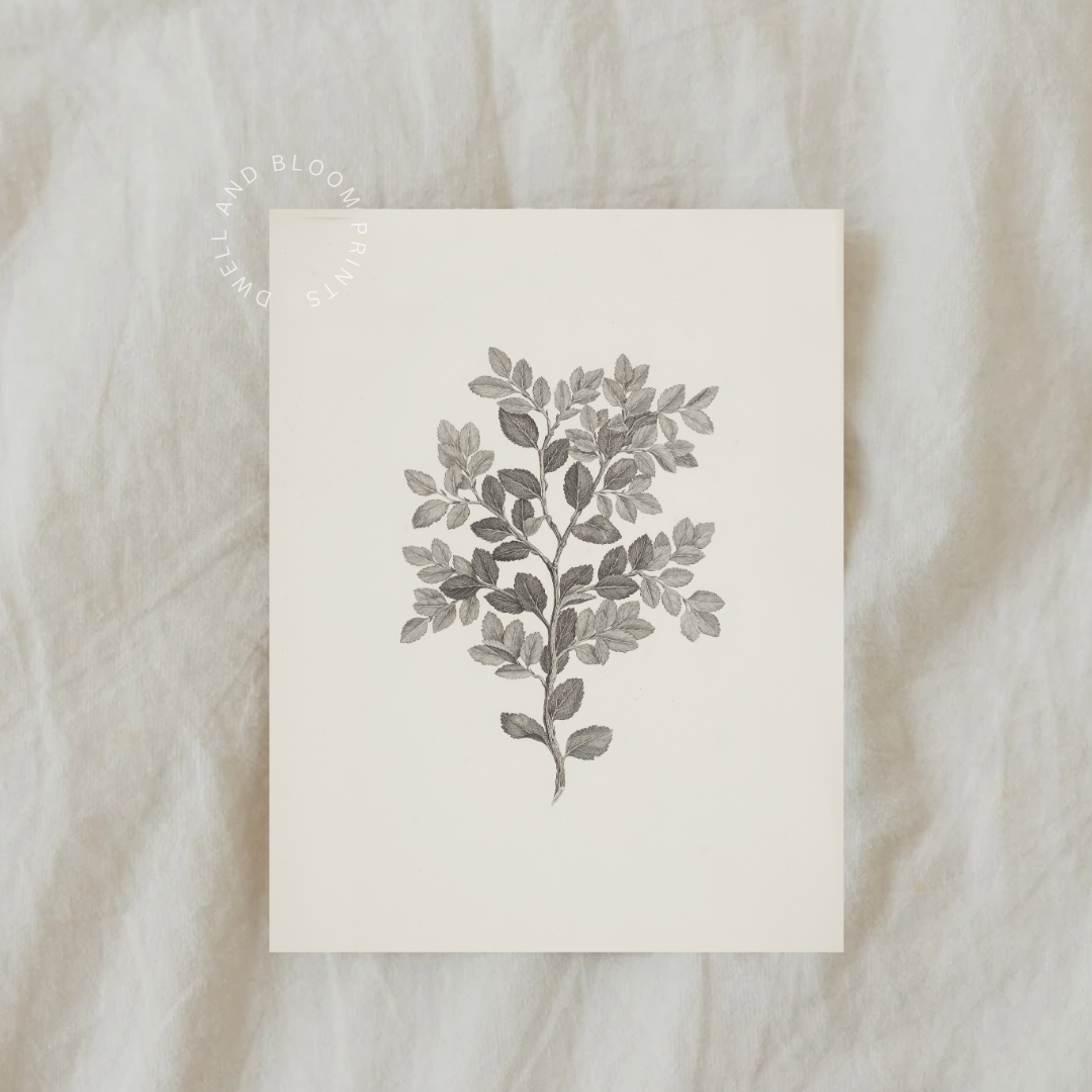 Vintage Neutral Botanical Art Print | Antique Botanical Wall Art