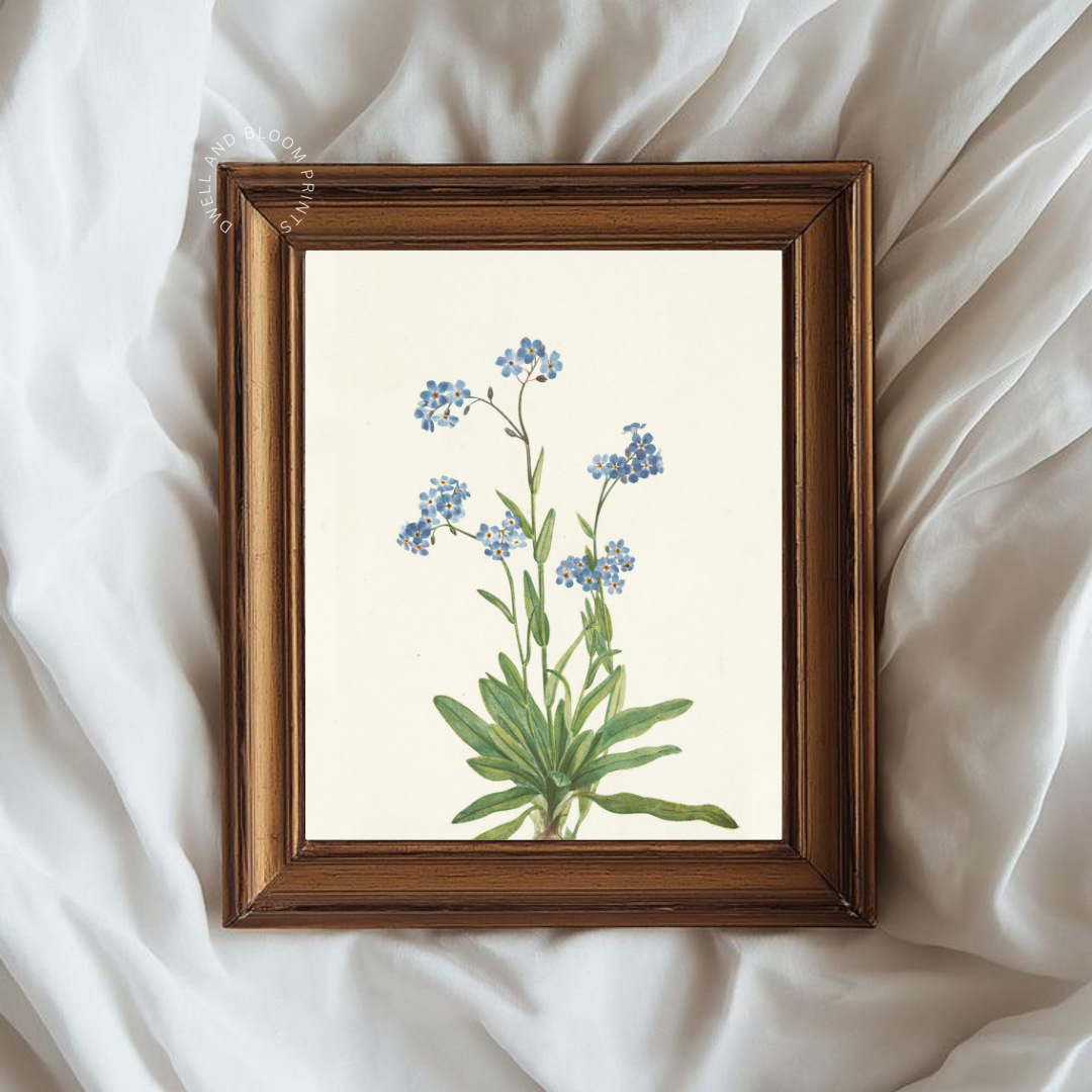 Vintage Floral Botanical Art Print | Vintage Botanical Wall Art